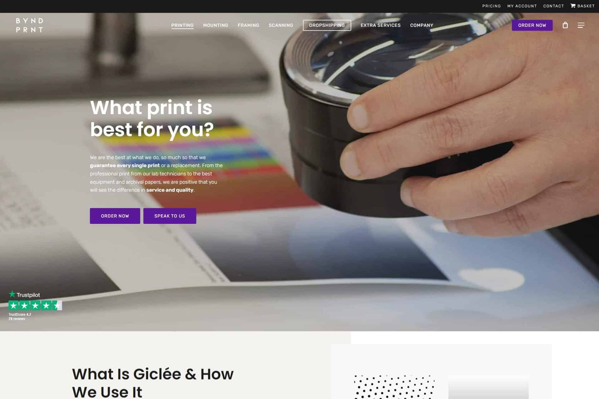 Beyond Print portfolio image 3