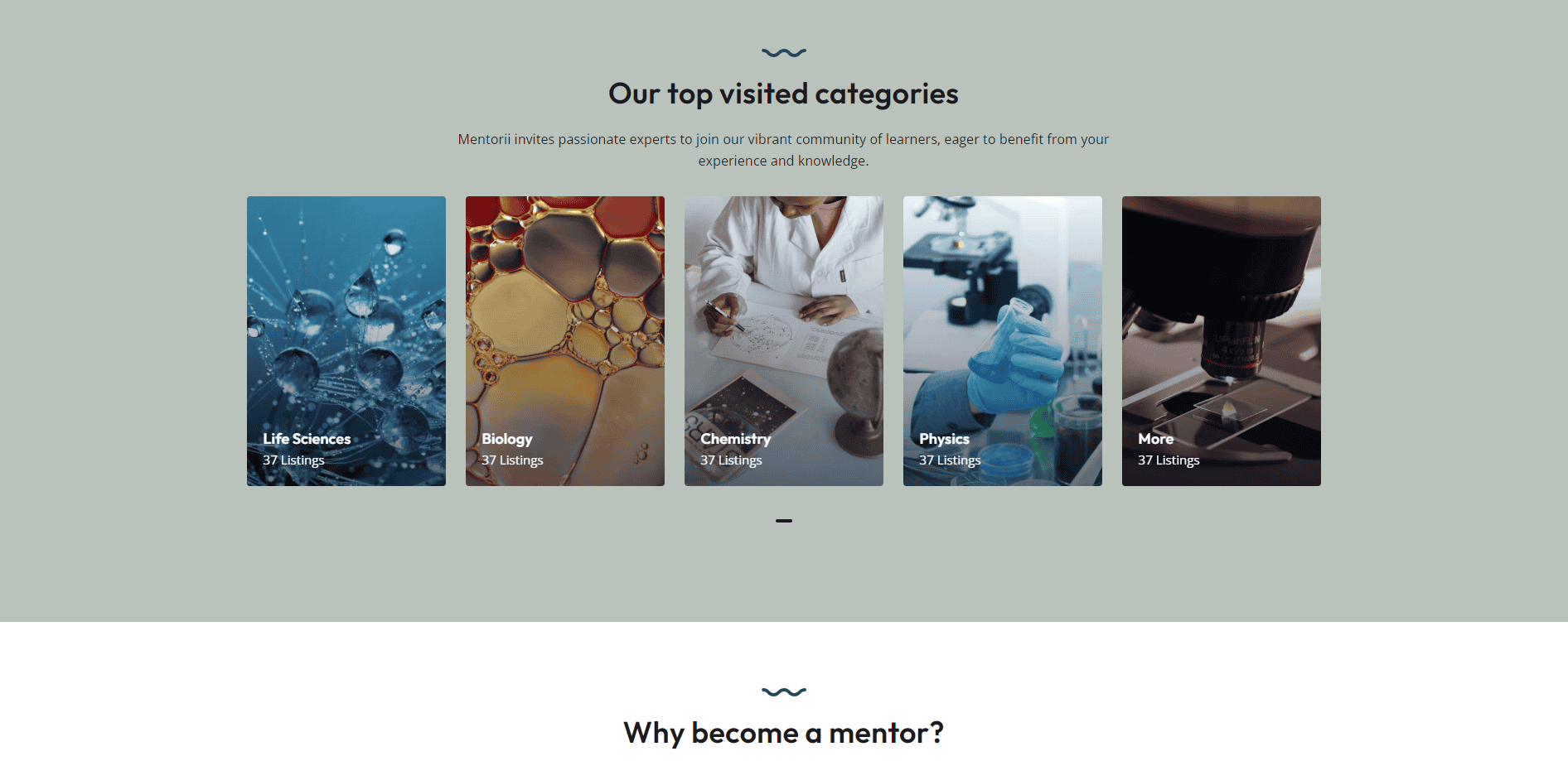 Mentorii portfolio image 3