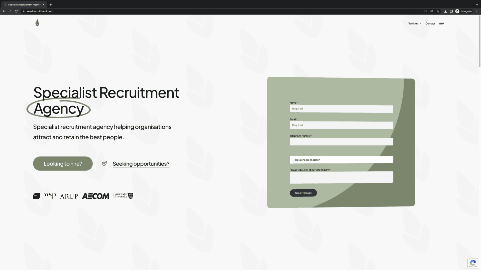 SEED Recruitment portfolio image 1